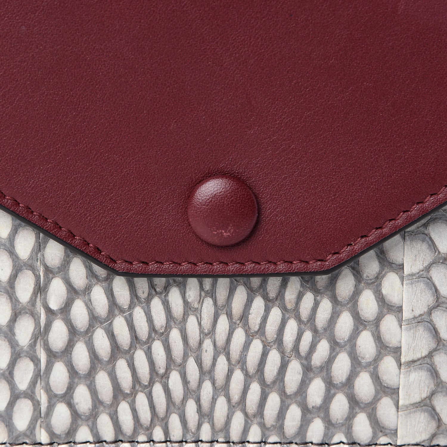 Celine Cobra Shiny Calfskin Clutch On A Chain 11 of 11