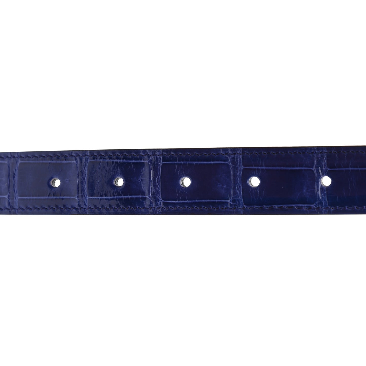 Shiny Porosus Crocodile Rivale Belt 80 Bleu Electrique