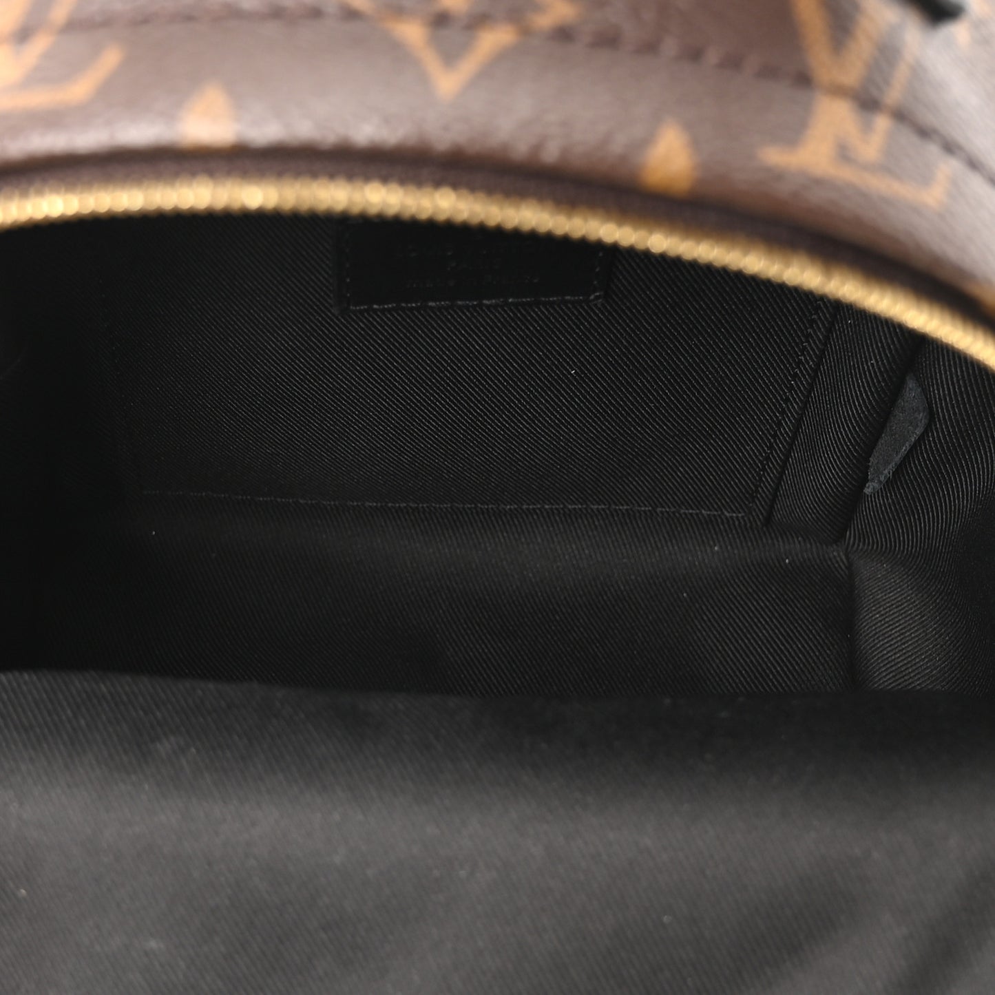 Monogram Palm Springs Backpack Mini