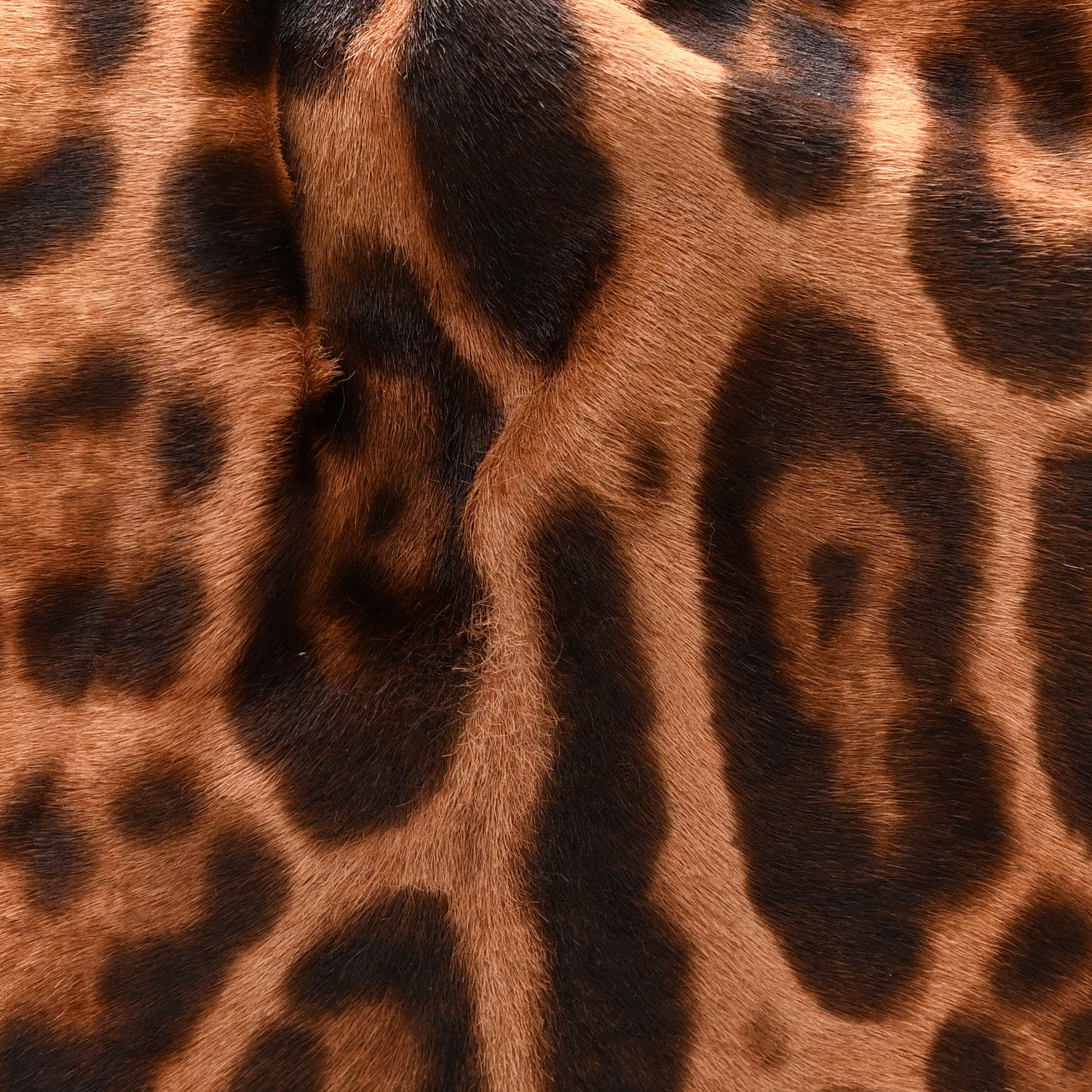 Dolce & Gabbana Calf Hair Leopard Print Patent Miss Silky Satchel Naturale 8 of 10