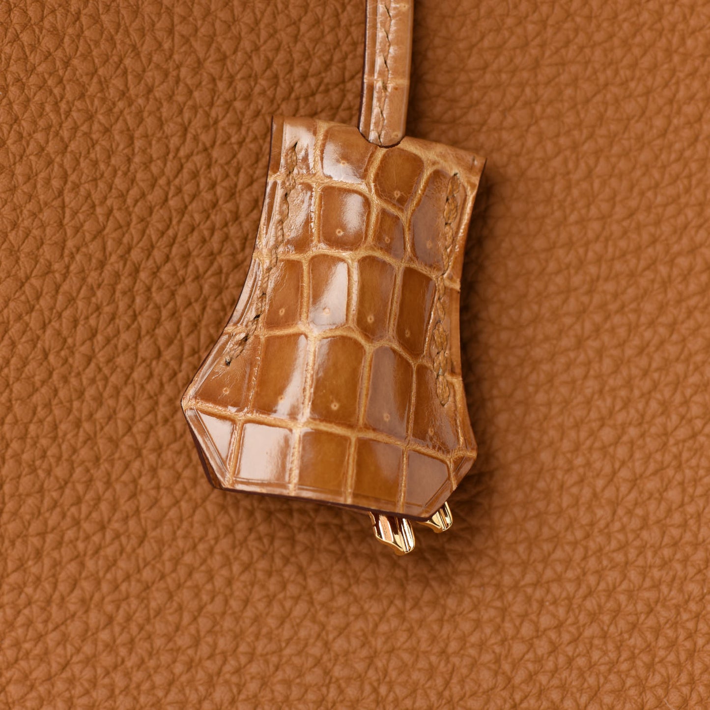Togo Shiny Niloticus Crocodile Birkin Touch 30 Caramel Tabac Camel