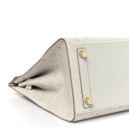 Hermes Ostrich Birkin Sellier 25 Gris Perle 8 of 10