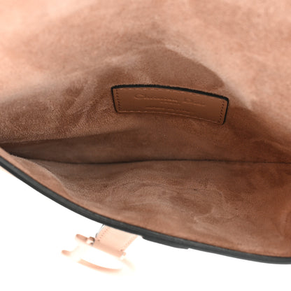 Christian Dior Ultra Matte Calfskin Saddle Belt Bag Rose Des Vents 5 of 9