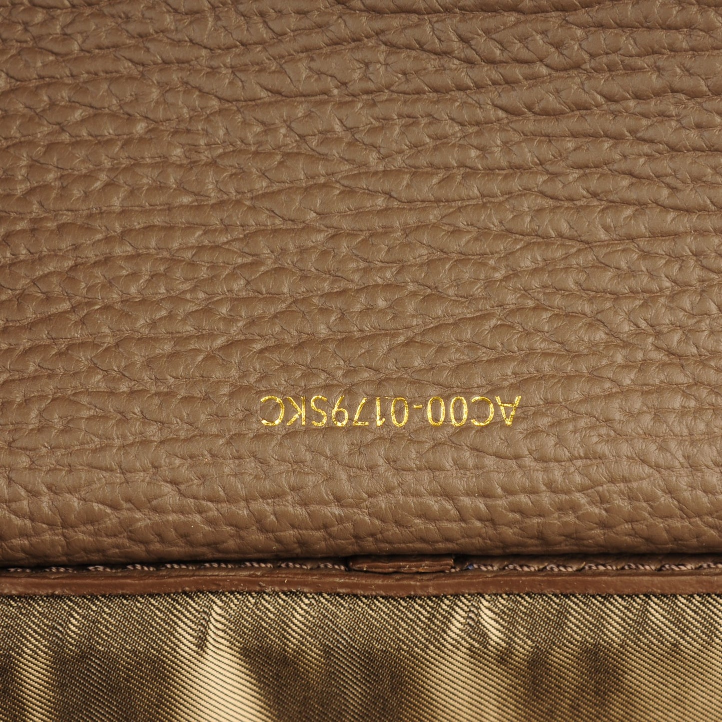3.1 Textured Calfskin Medium Pashli Satchel Taupe