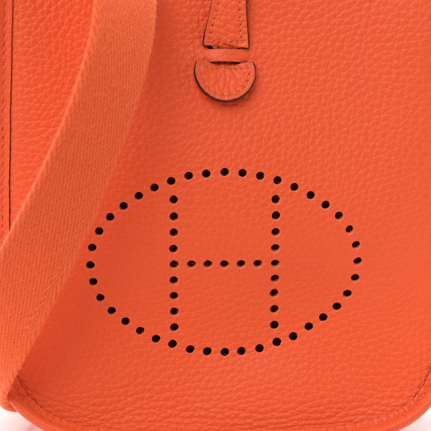 Taurillon Clemence Evelyne TPM Orange