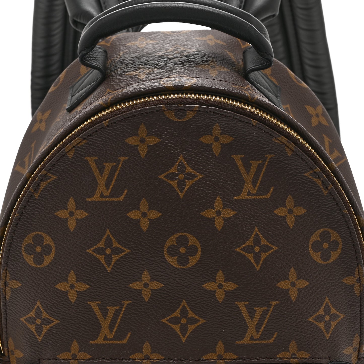 Monogram Palm Springs Backpack PM