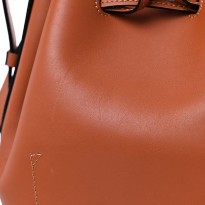 Loewe Calfskin Balloon Bucket Bag Tan 14 of 15
