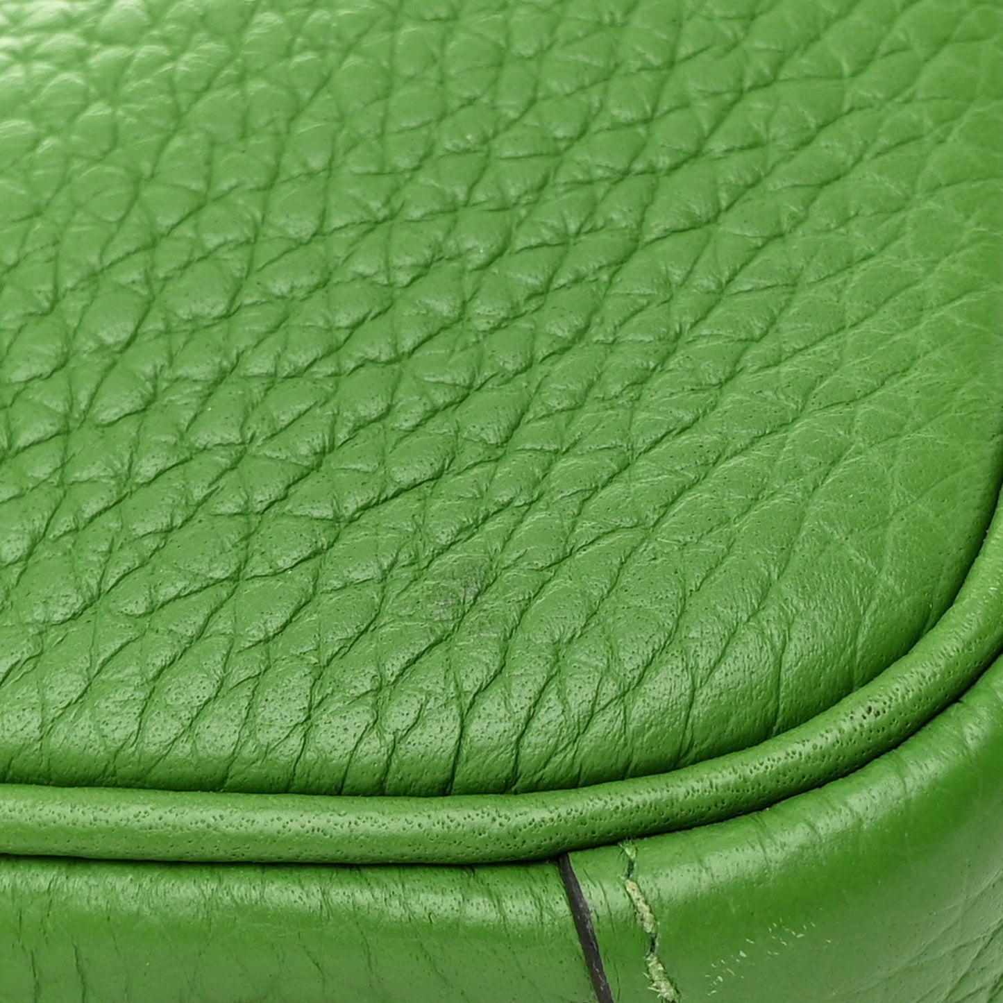 Taurillon Clemence Mini Lindy 20 Vert Yucca