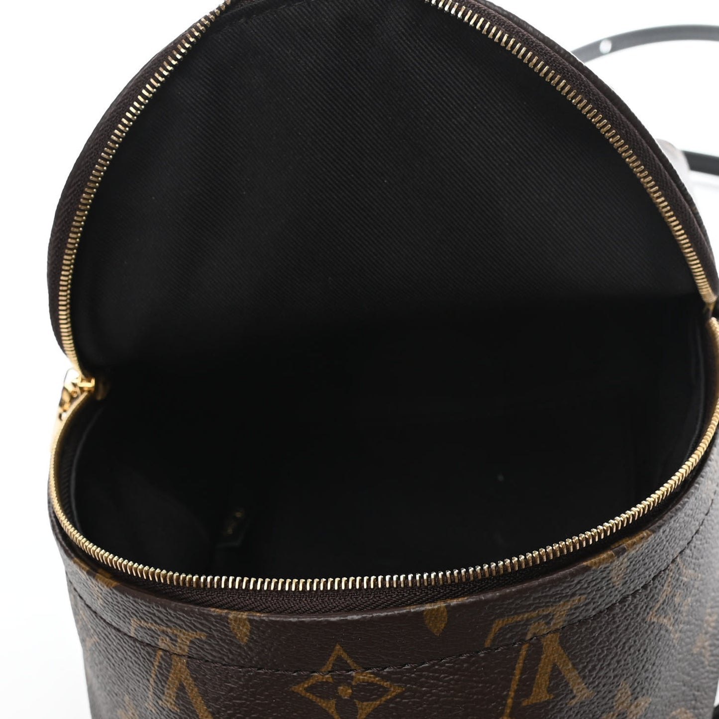 Monogram Palm Springs Backpack Mini
