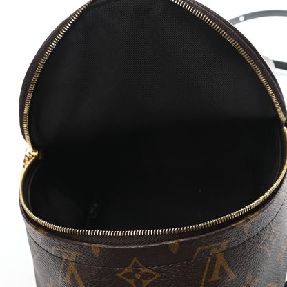 Louis Vuitton Monogram Palm Springs Backpack Mini 4 of 4