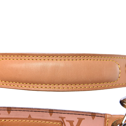 Louis Vuitton Vinyl Cabas Ambre PM 9 of 16
