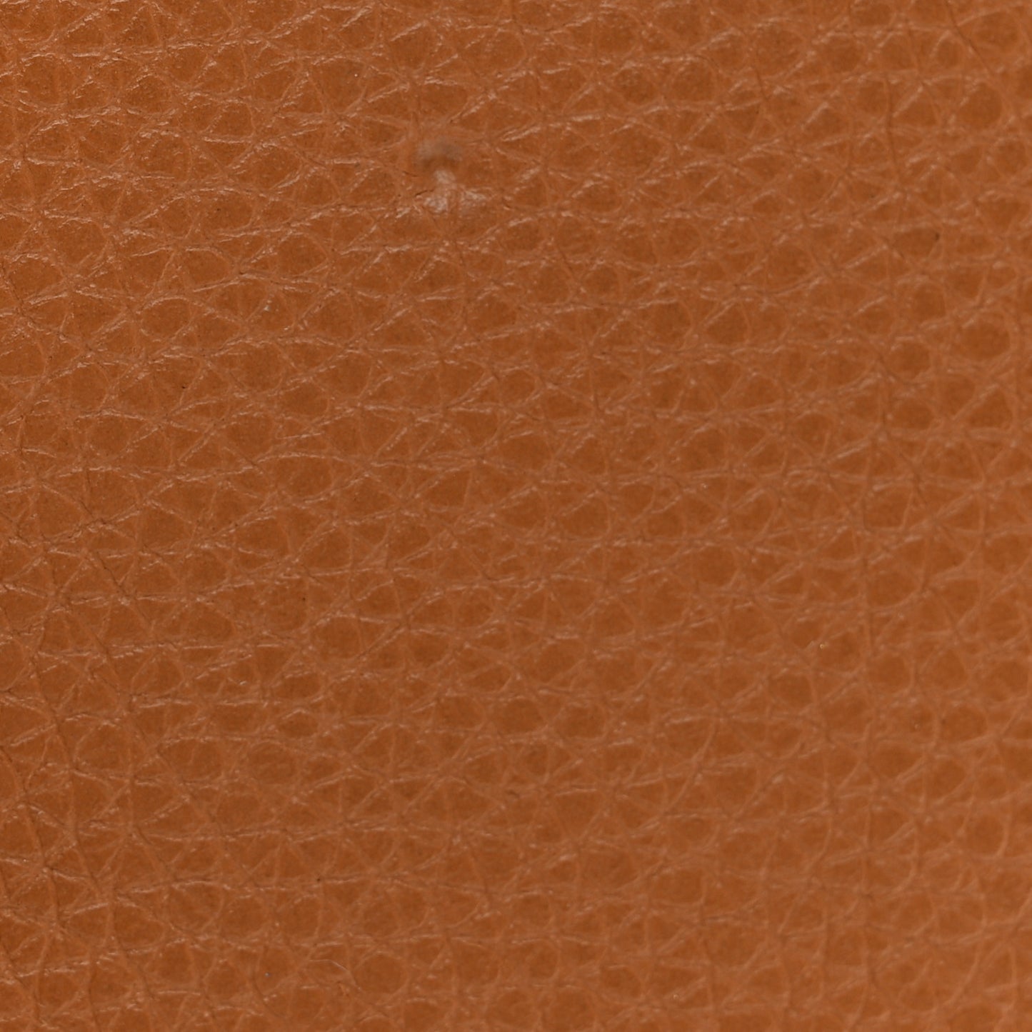 Grained Calfskin Small Vertical Wallet Honey Tan