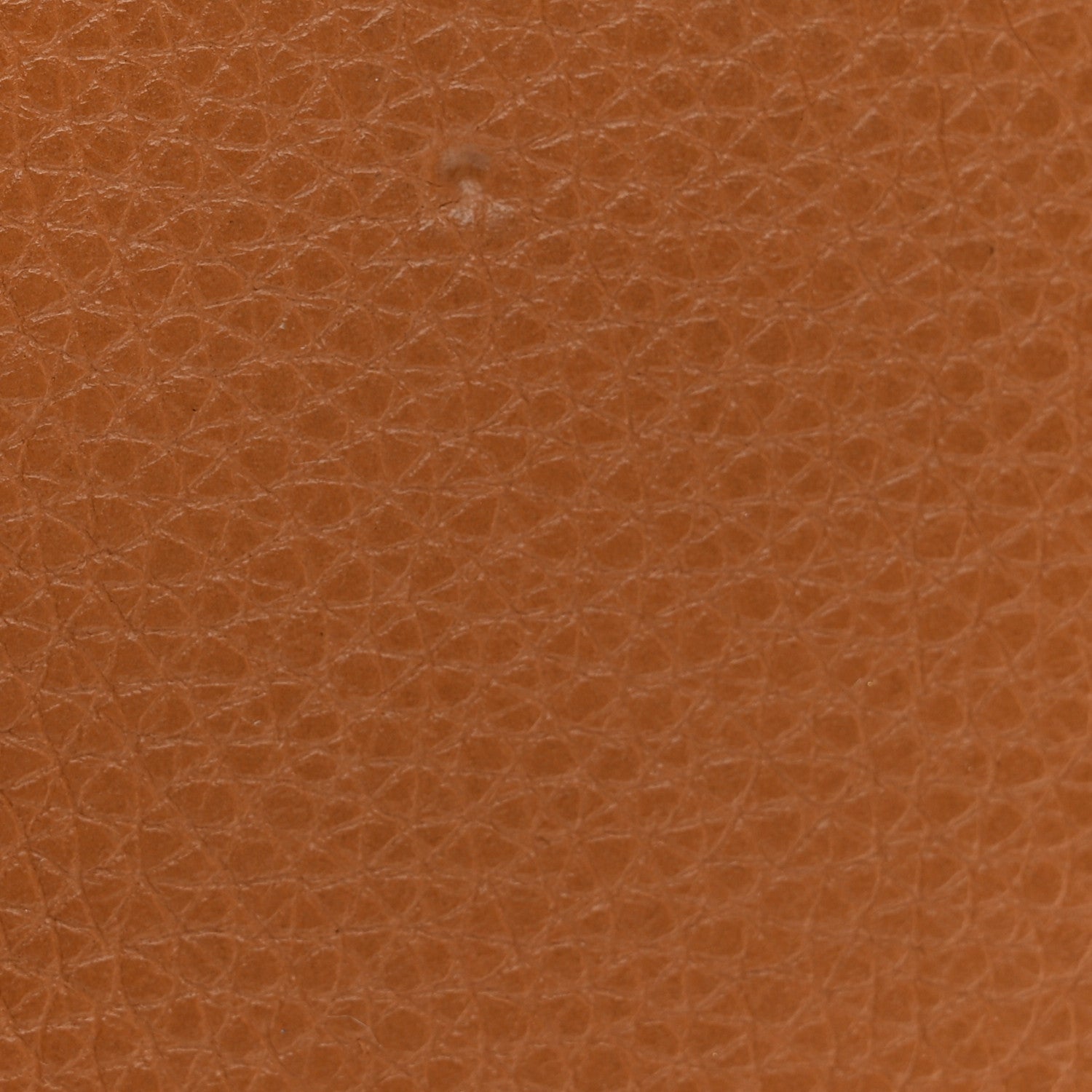 Loewe Grained Calfskin Small Vertical Wallet Honey Tan 8 of 8