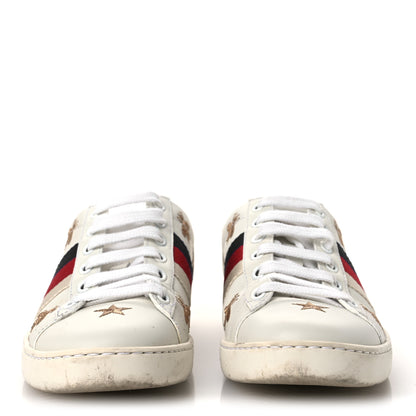 Gucci Calfskin Bee Star Embroidered Sylvie Web Ace Sneakers 35.5 White 3 of 12