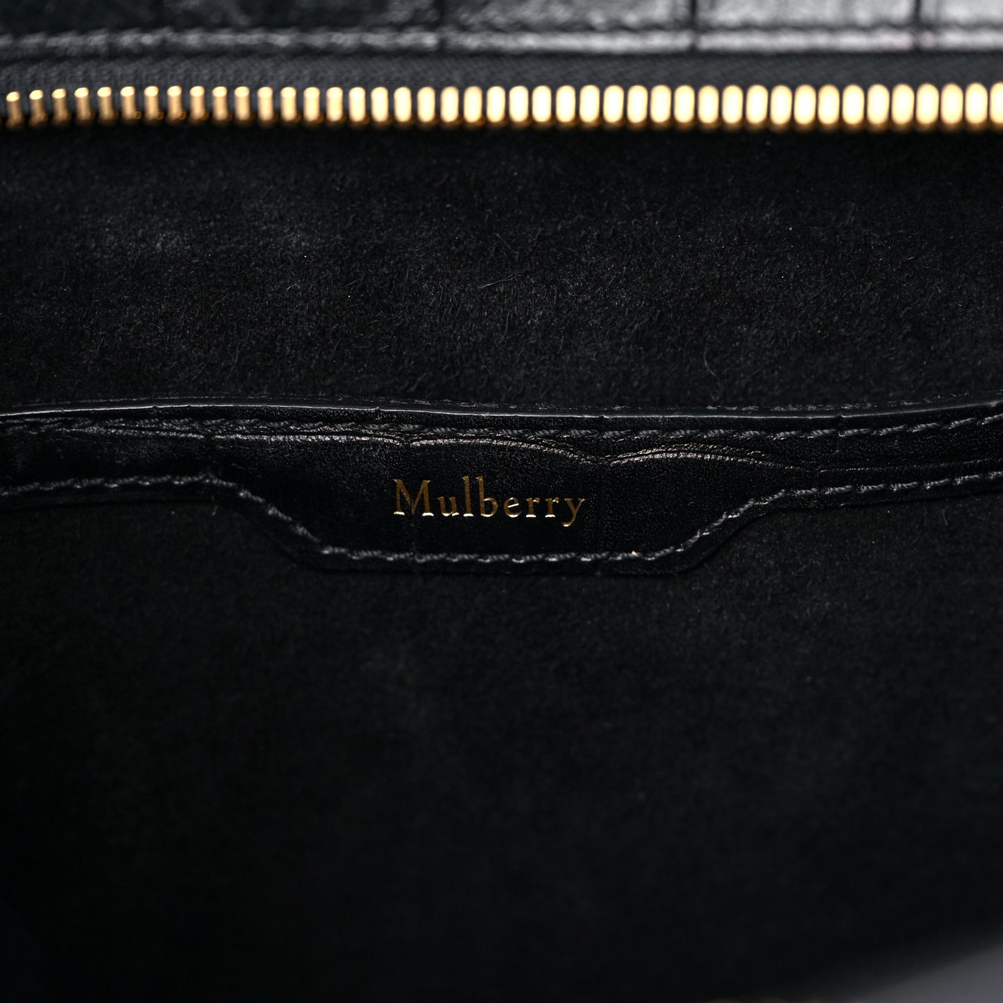 Crocodile Embossed Calfskin Small Zipped Bayswater Black