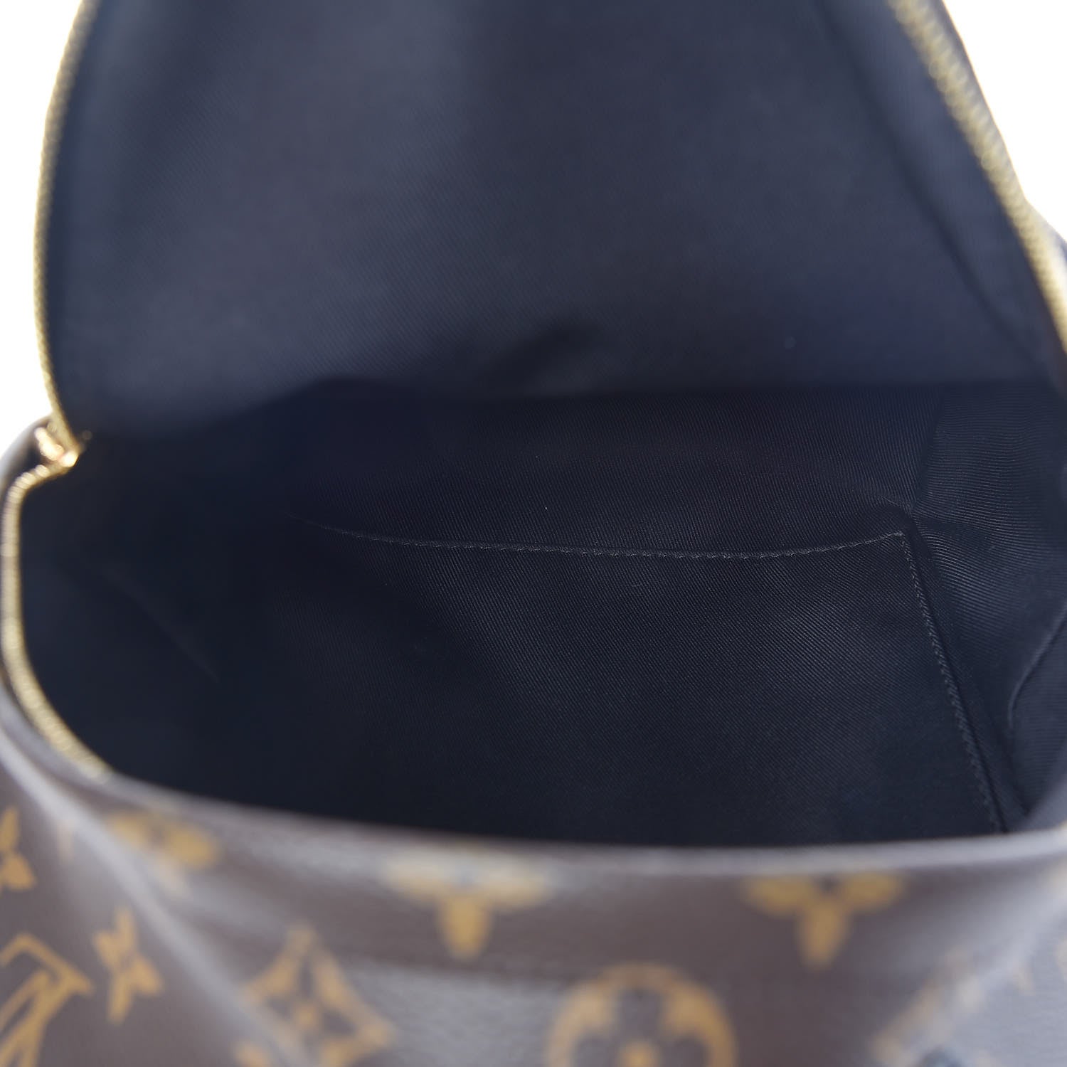 Louis Vuitton Monogram Palm Springs Backpack PM 5 of 9
