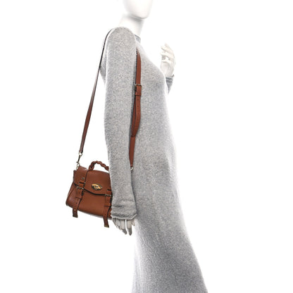 Mulberry Heavy Grain Mini Alexa Chestnut 2 of 12