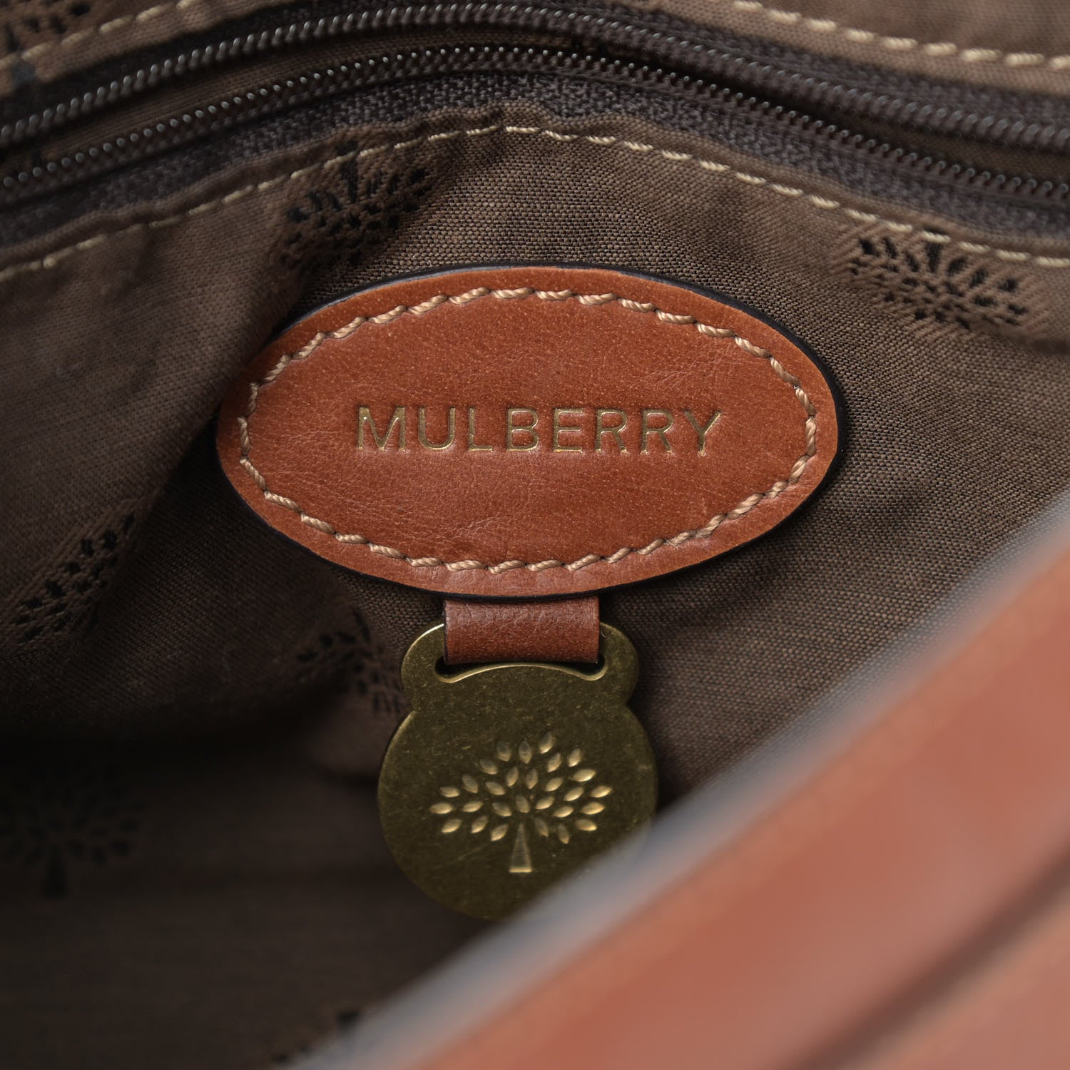 Mulberry Soft Buffalo Mini Alexa Oak 6 of 11