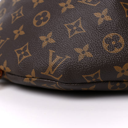 Louis Vuitton Monogram Bumbag 9 of 14