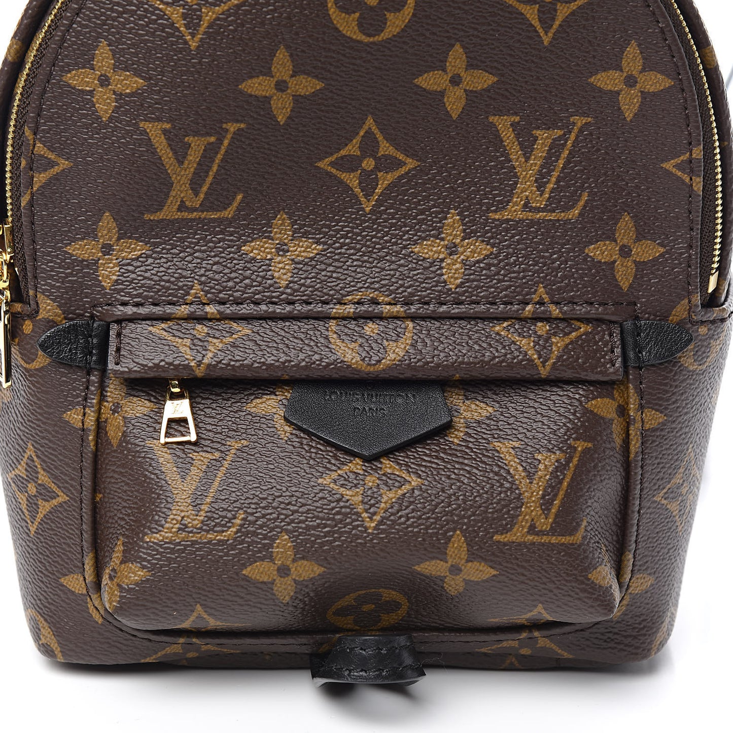 Monogram Palm Springs Backpack Mini