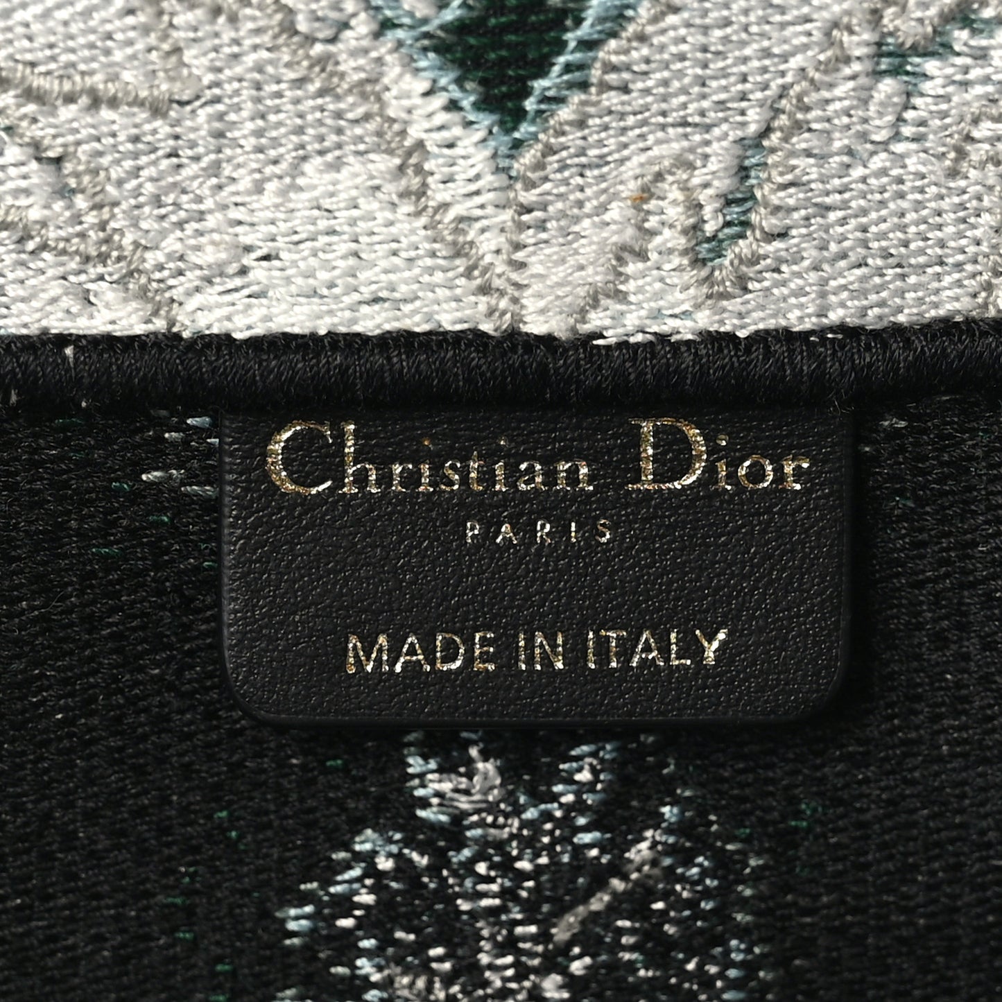 Canvas Large Tie And Dior Book Tote Green Multicolor