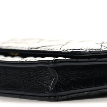 Christian Dior Supple Calfskin Cannage Caro Belt Pouch with Chain  Black 9 of 10