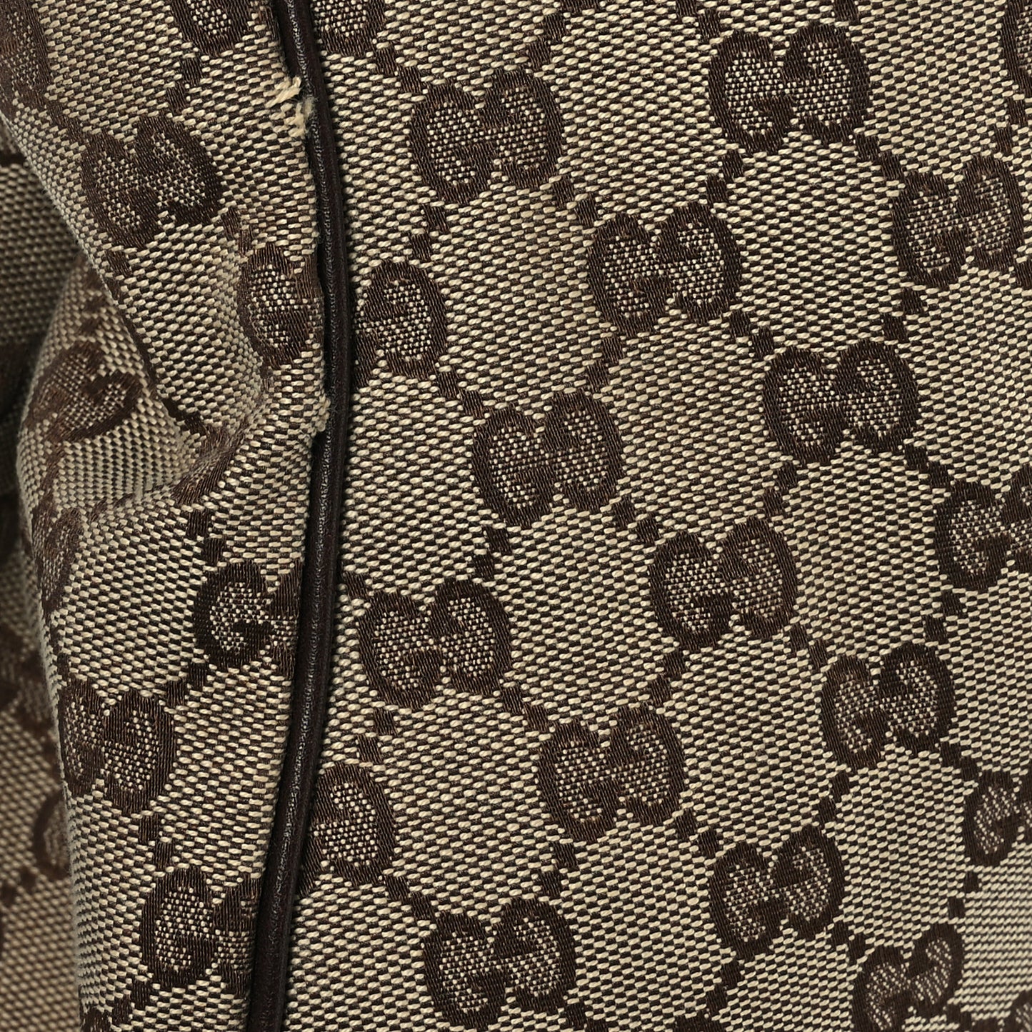 Monogram Medium Charlotte Hobo Brown