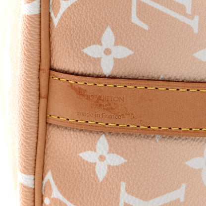 Louis Vuitton Monogram Giant By The Pool Speedy Bandouliere 25 Brume 6 of 11