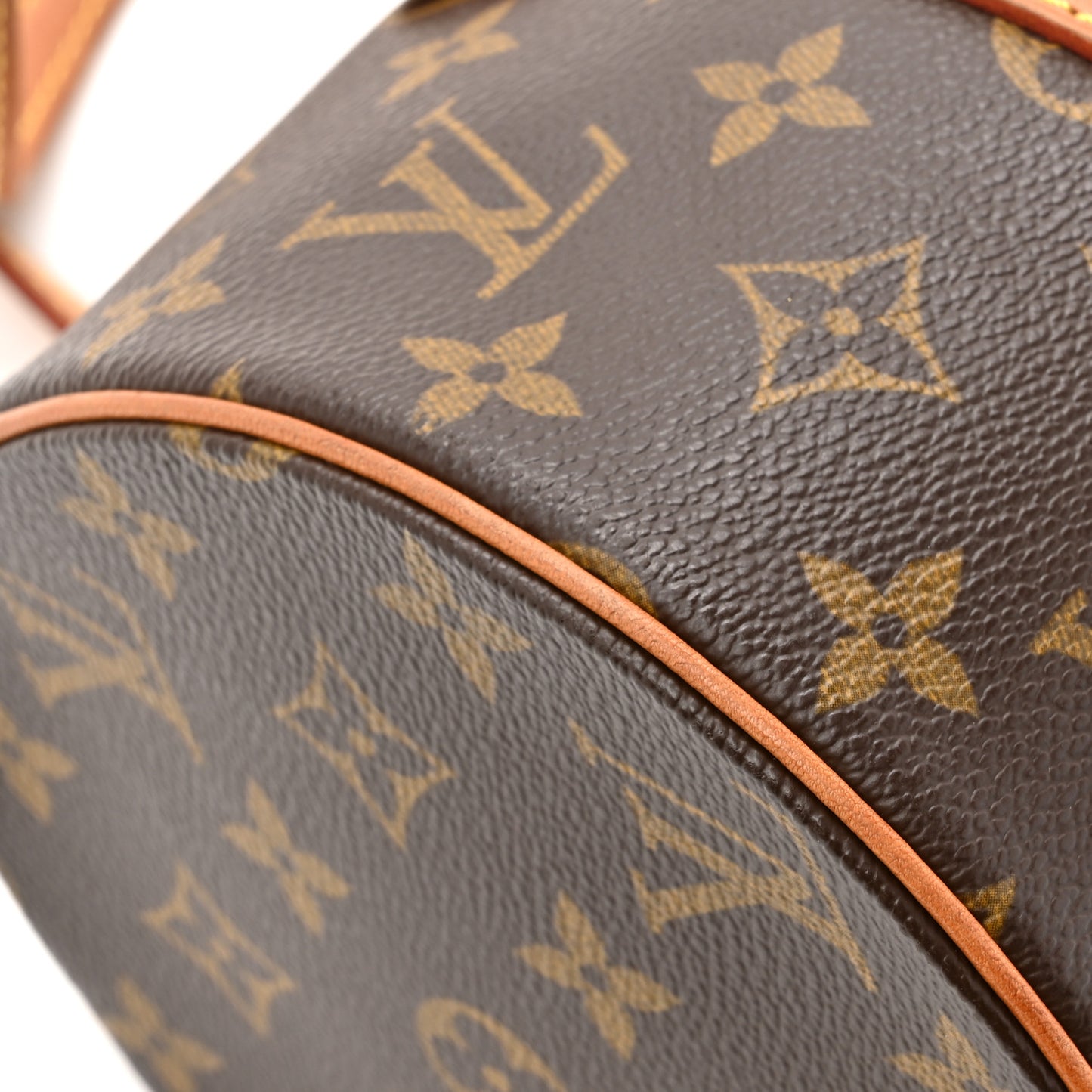 Monogram Papillon 30 with Companion