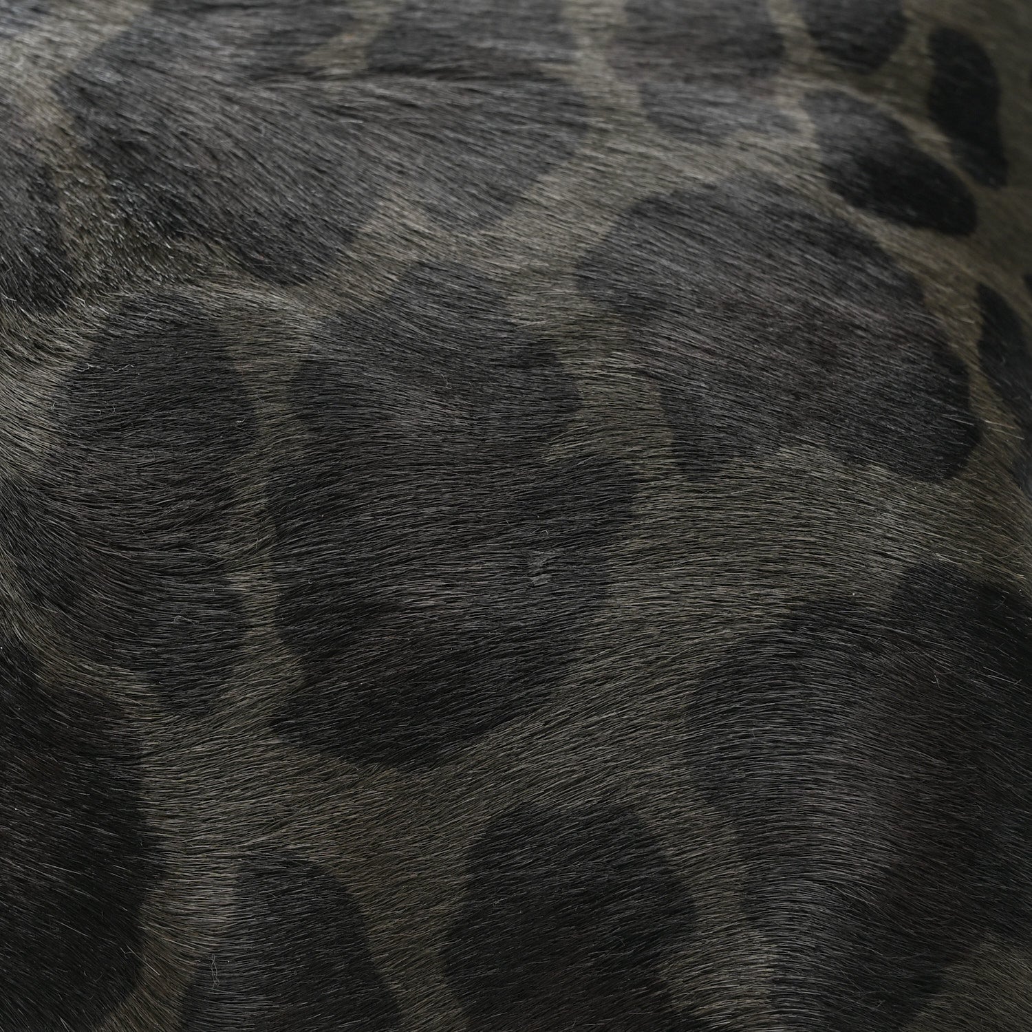 Prada Cavallino Leopard Print Pushlock Envelope Clutch Mimetico 13 of 16