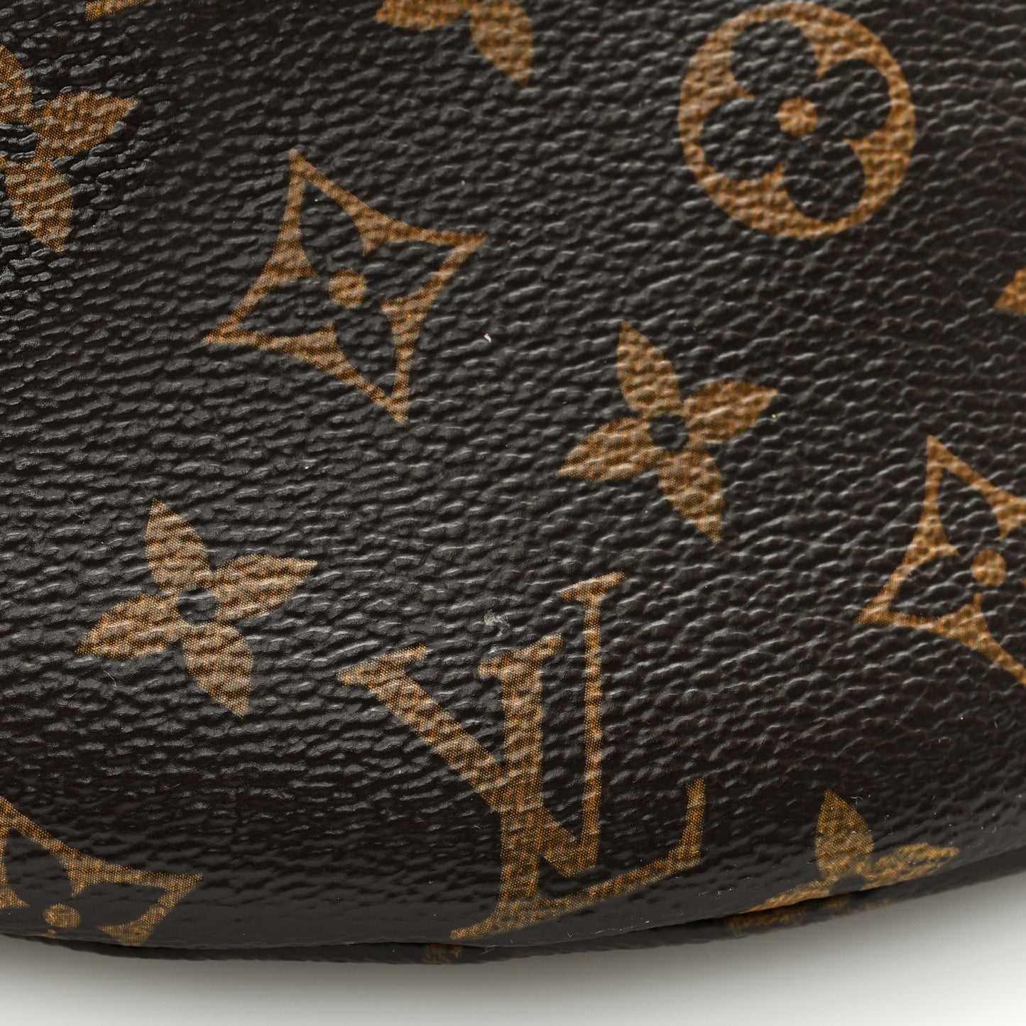 Monogram Bumbag