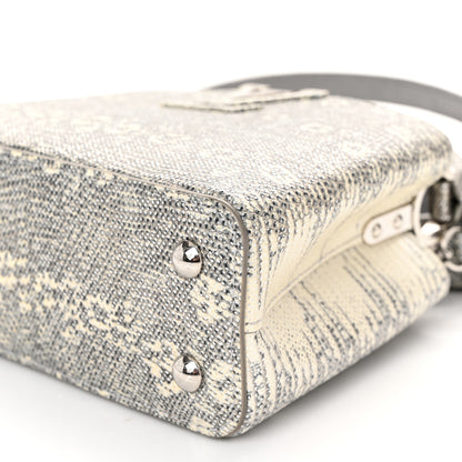 Louis Vuitton Lizard Mini Capucines Argento 9 of 10
