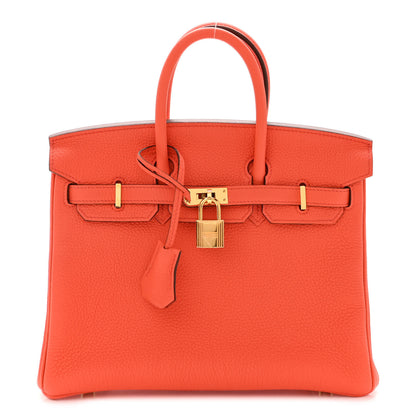 Hermes Togo Birkin 25 Orange Poppy 1 of 13