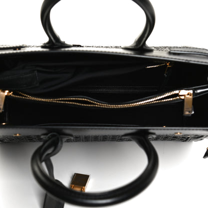 Saint Laurent Calfskin Paglia Palm Sac De Jour Black 4 of 9