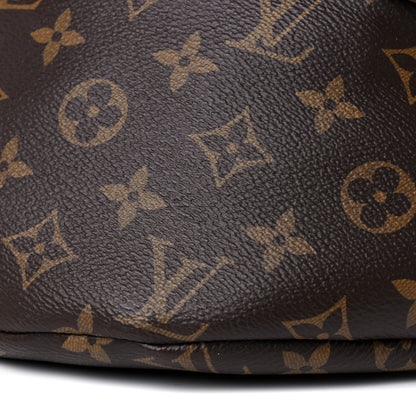 Louis Vuitton Monogram Bumbag 8 of 10