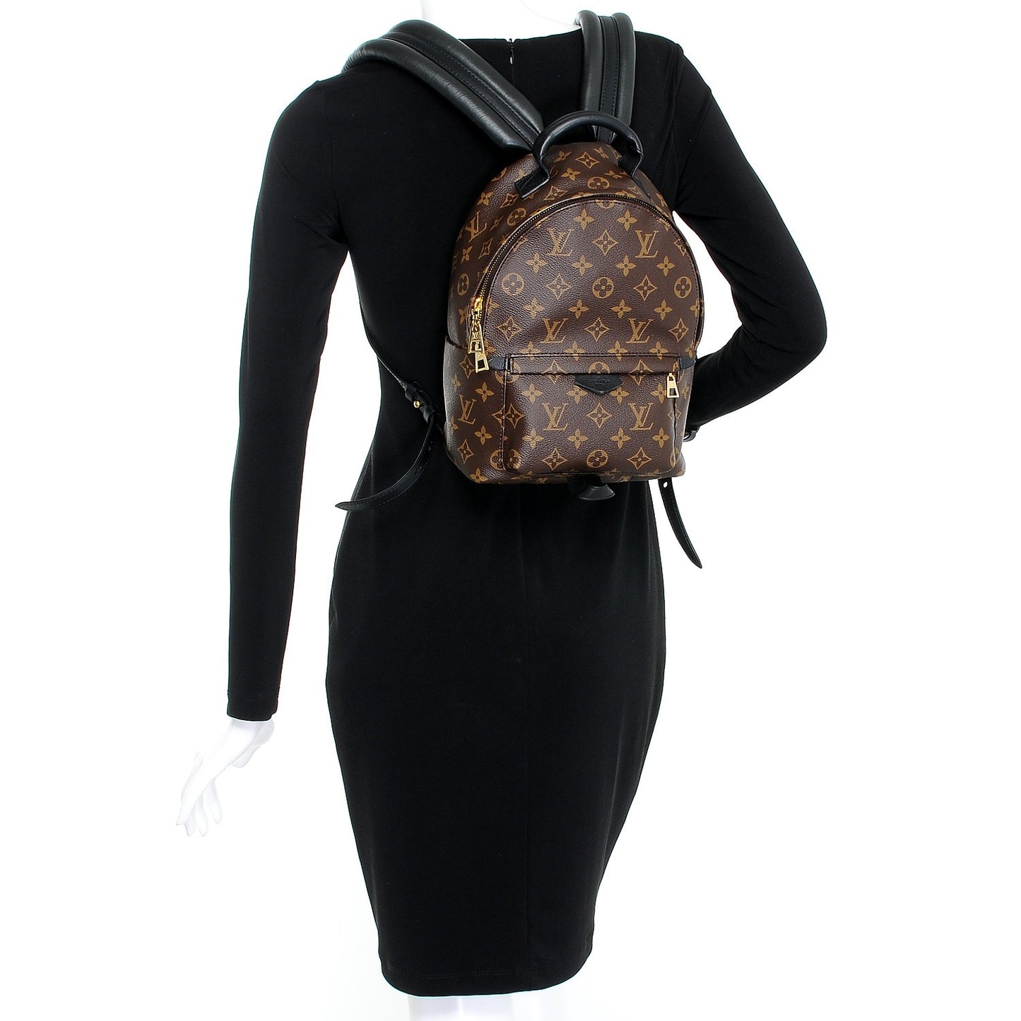 Monogram Palm Springs Backpack PM