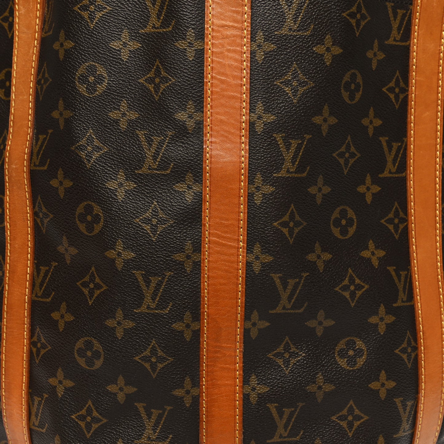 Monogram Randonnee GM Backpack