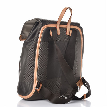 Louis Vuitton Damier Geant Pionnier Backpack Terre 3 of 10