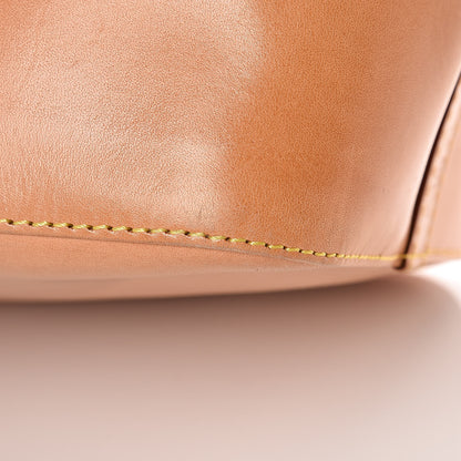 Louis Vuitton 15th Anniversary Japan Vachetta Petit Noe 15 of 16