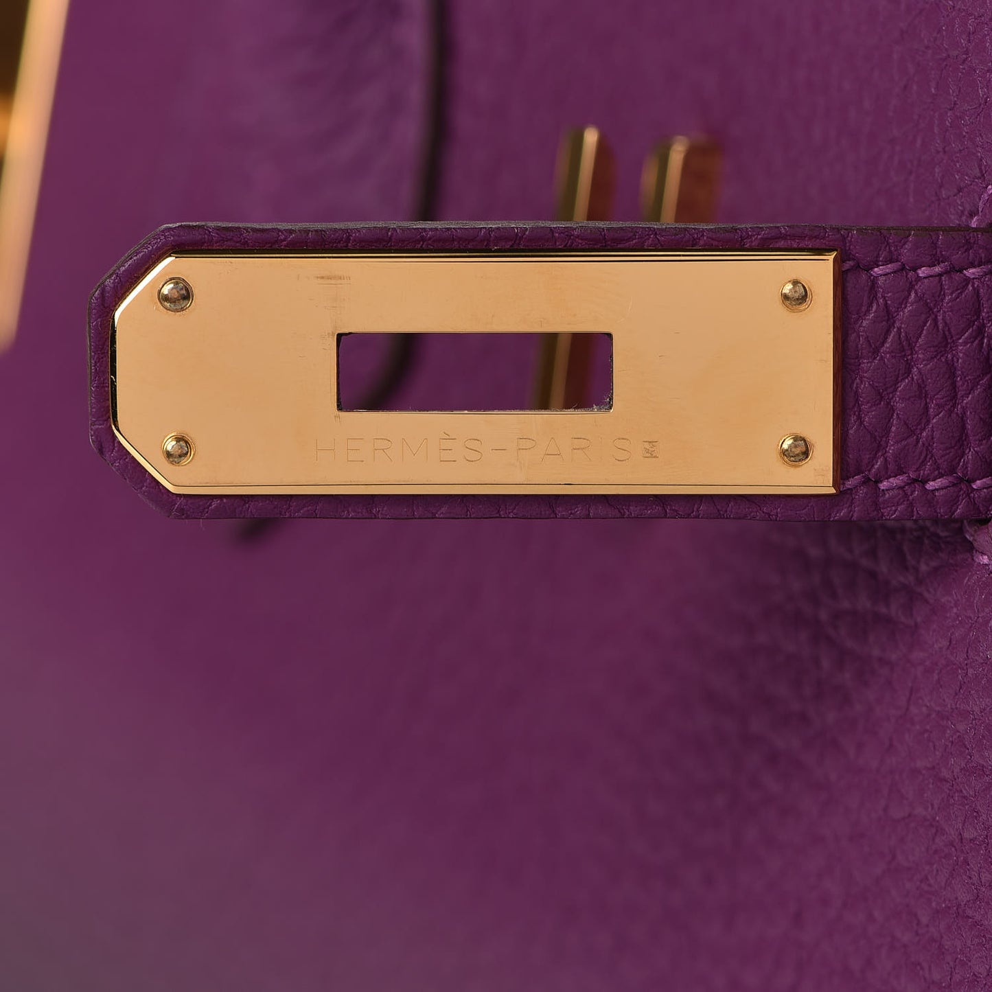 Togo Birkin 35 Anemone