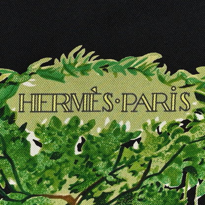 Hermes Silk Equateur Scarf 90 Black Vert Bleu 2 of 5