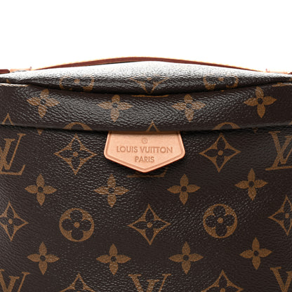 Louis Vuitton Monogram Bumbag 7 of 9