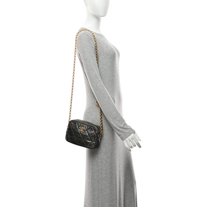 Chanel Metallic Calfskin Pearl Quilted CC Mini Camera Case Ruthenium 2 of 10