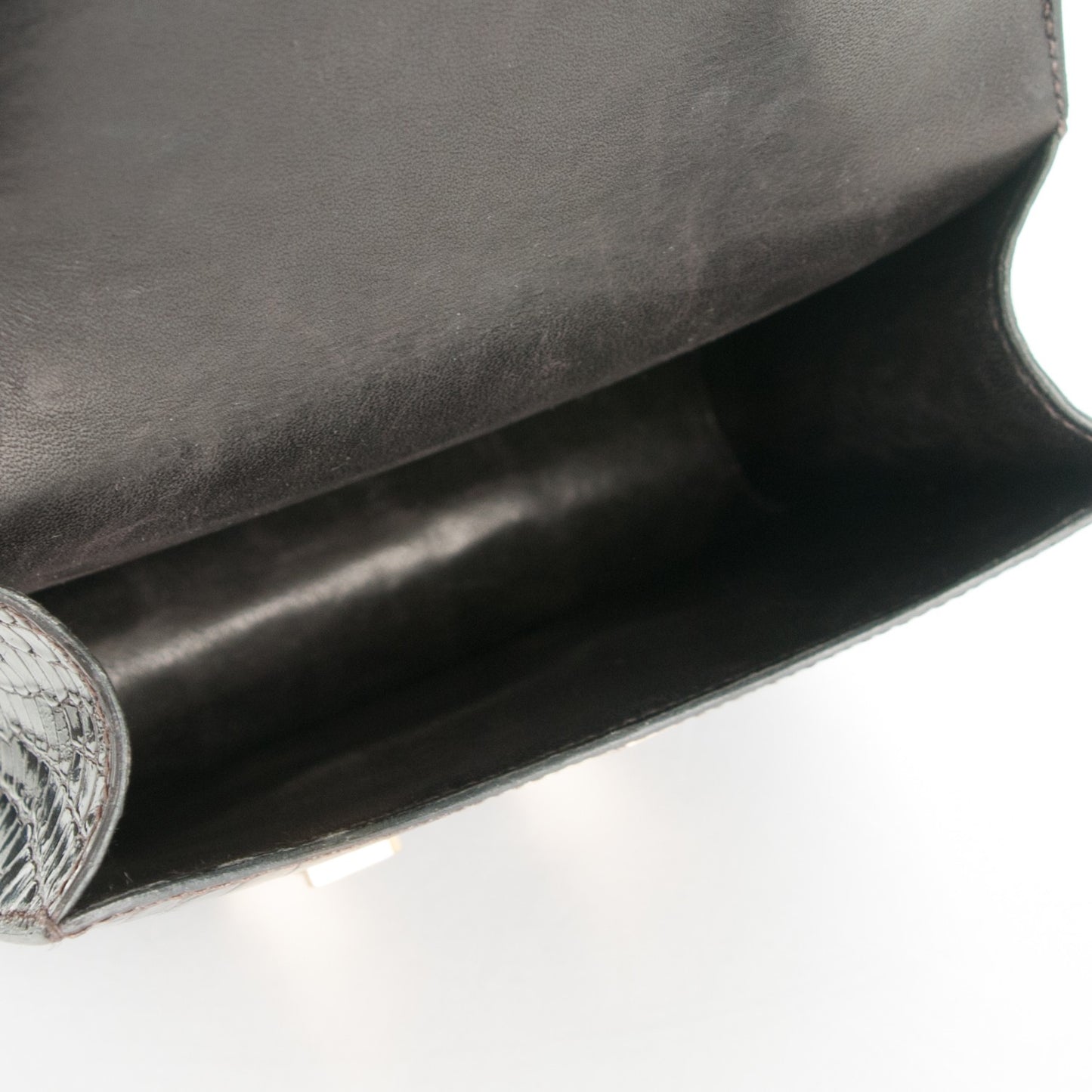 Shiny Alligator Micro Constance 14 Ebene