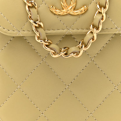 Chanel Lambskin Quilted Enamel CC Wallet on Chain WOC Light Green 9 of 13