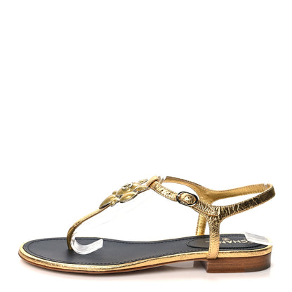 Chanel Metallic Calfskin Enamel Camellia Thong Sandals 36.5 Gold 1 of 7