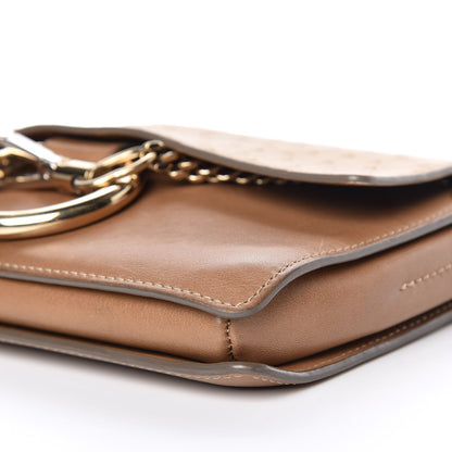 Chloe Ostrich Calfskin Small Faye Shoulder Bag Light Brown 6 of 13
