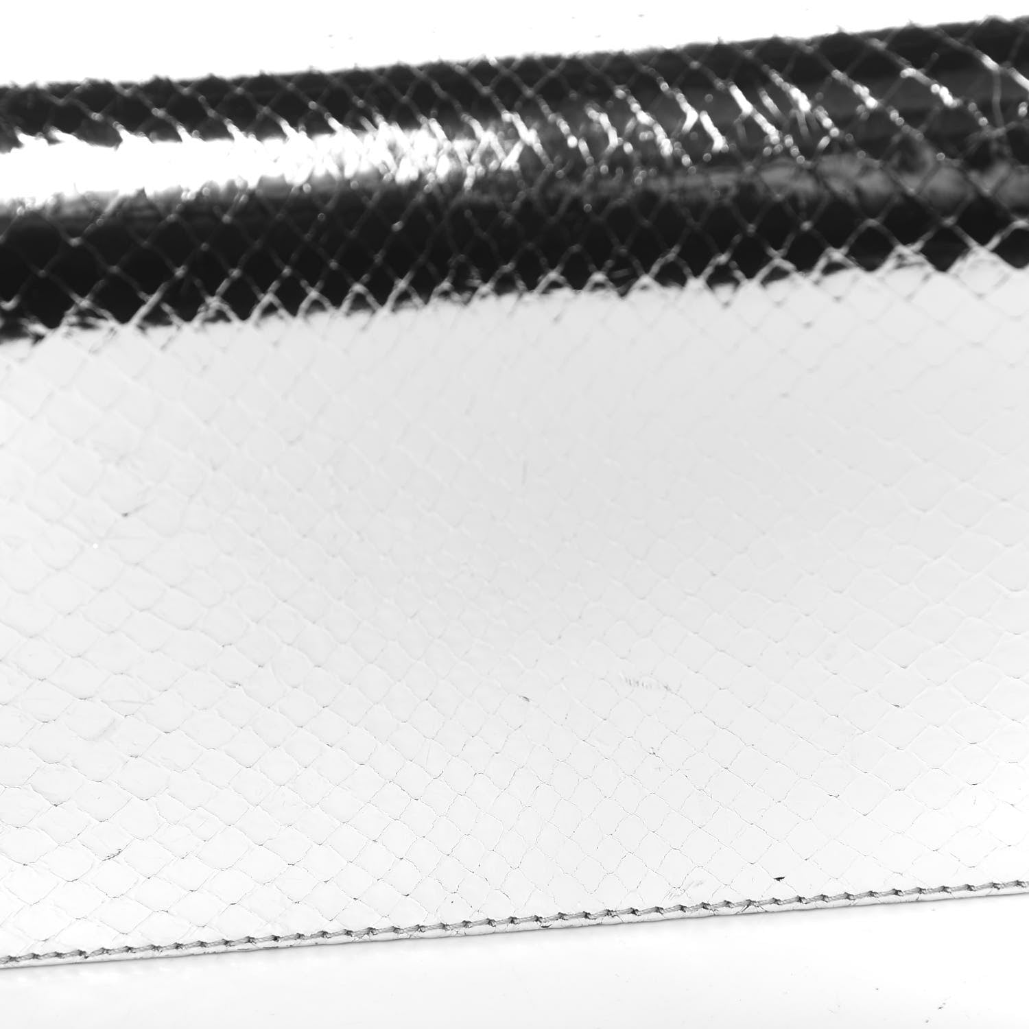 Christian Dior Metallic Snakeskin Lady Dior Croisiere Chain Clutch Silver 9 of 12