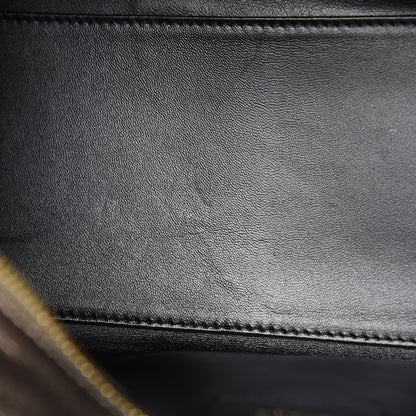 Loewe Metallic Calfskin Amazona 28 Bronze 10 of 10