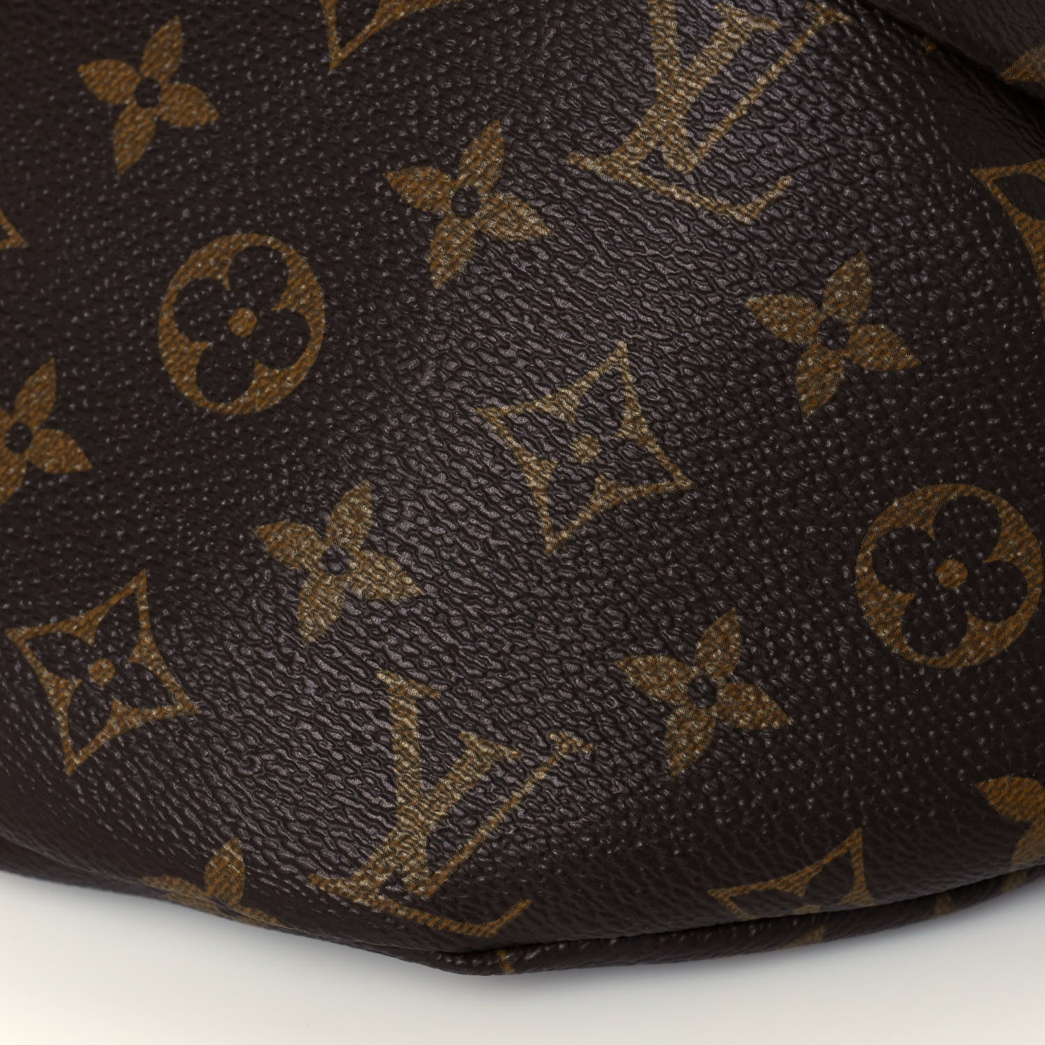 Louis Vuitton Monogram Bumbag 9 of 13